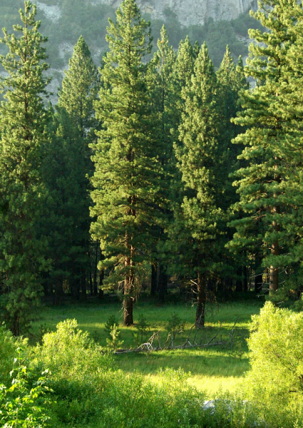 Выбираем экологичные производства